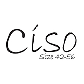 Ciso_logo